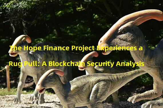 The Hope Finance Project Experiences a Rug Pull: A Blockchain Security Analysis