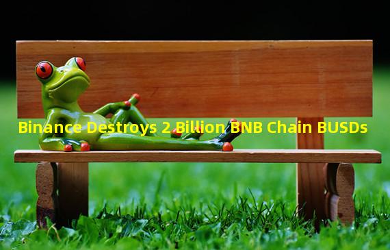 Binance Destroys 2 Billion BNB Chain BUSDs