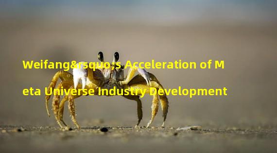 Weifang’s Acceleration of Meta Universe Industry Development
