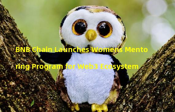 BNB Chain Launches Womens Mentoring Program for Web3 Ecosystem