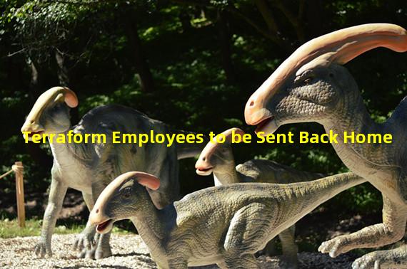 Terraform Employees to be Sent Back Home
