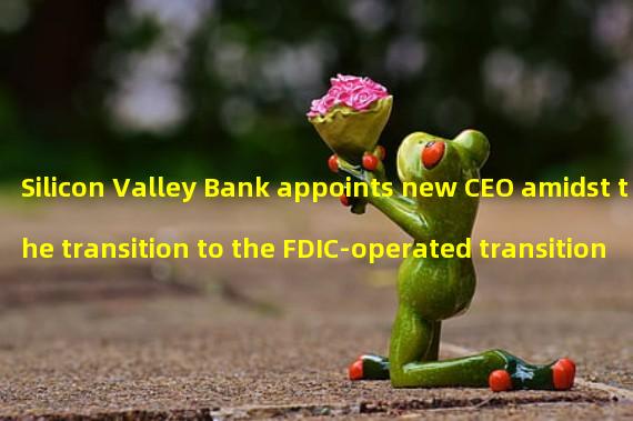 Silicon Valley Bank appoints new CEO amidst the transition to the FDIC-operated transition bank