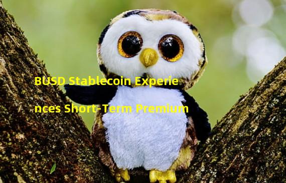 BUSD Stablecoin Experiences Short-Term Premium