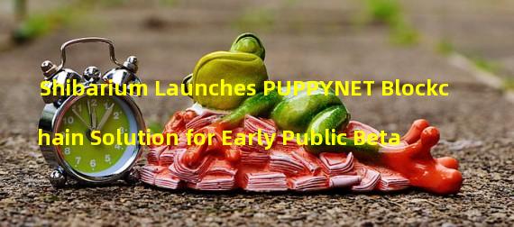 Shibarium Launches PUPPYNET Blockchain Solution for Early Public Beta 