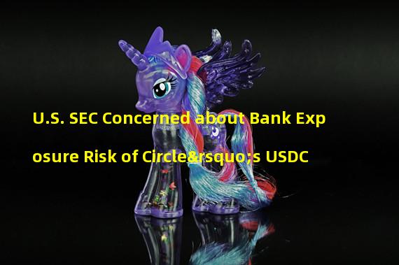 U.S. SEC Concerned about Bank Exposure Risk of Circle’s USDC 