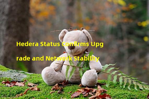 Hedera Status Confirms Upgrade and Network Stability