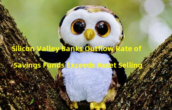Silicon Valley Banks Outflow Rate of Savings Funds Exceeds Asset Selling