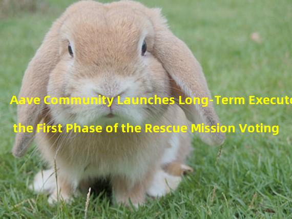 Aave Community Launches Long-Term Executor of the First Phase of the Rescue Mission Voting Proposal