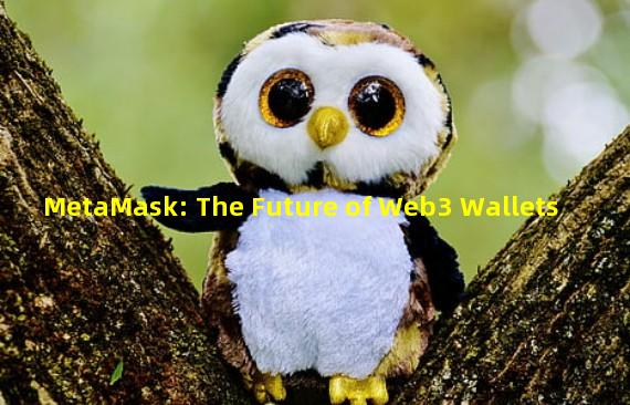 MetaMask: The Future of Web3 Wallets