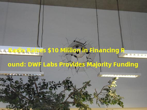 Radix Raises $10 Million in Financing Round: DWF Labs Provides Majority Funding
