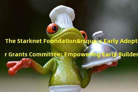 The Starknet Foundation’s Early Adopter Grants Committee: Empowering Early Builders