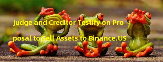 Judge and Creditor Testify on Proposal to Sell Assets to Binance.US