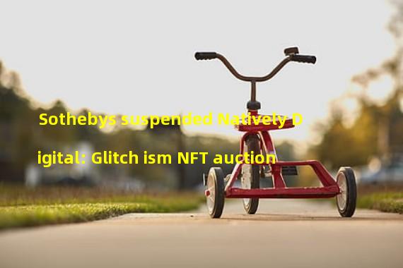 Sothebys suspended Natively Digital: Glitch ism NFT auction