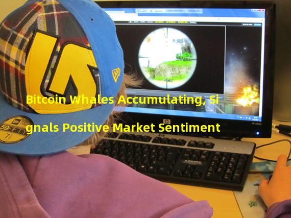 Bitcoin Whales Accumulating, Signals Positive Market Sentiment