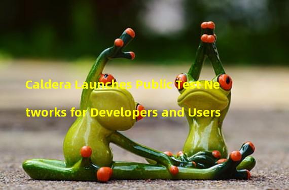 Caldera Launches Public Test Networks for Developers and Users 