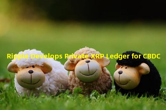 Ripple Develops Private XRP Ledger for CBDC