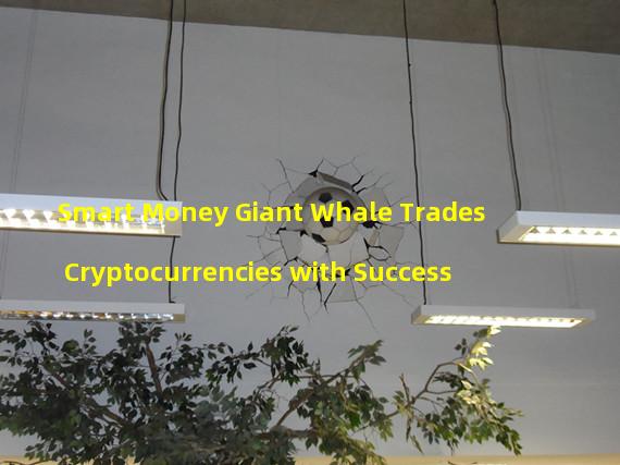 Smart Money Giant Whale Trades Cryptocurrencies with Success