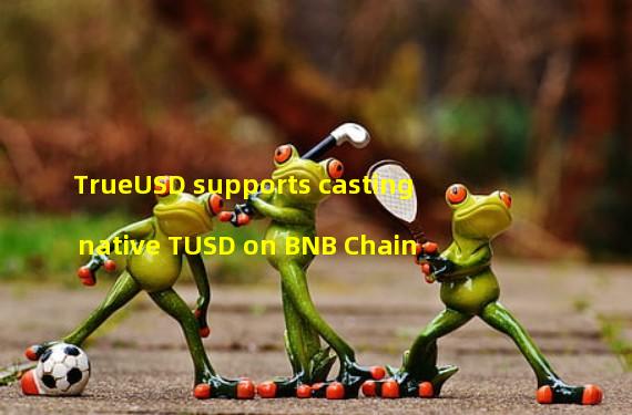 TrueUSD supports casting native TUSD on BNB Chain
