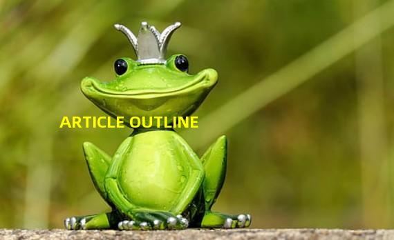 ARTICLE OUTLINE