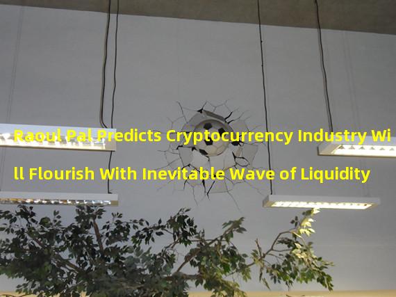 Raoul Pal Predicts Cryptocurrency Industry Will Flourish With Inevitable Wave of Liquidity