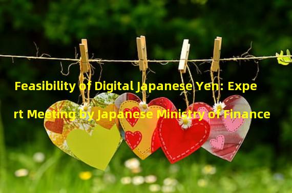 Feasibility of Digital Japanese Yen: Expert Meeting by Japanese Ministry of Finance