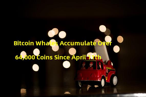 Bitcoin Whales Accumulate Over 64,000 Coins Since April 11th