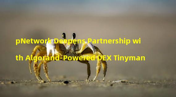 pNetwork Deepens Partnership with Algorand-Powered DEX Tinyman