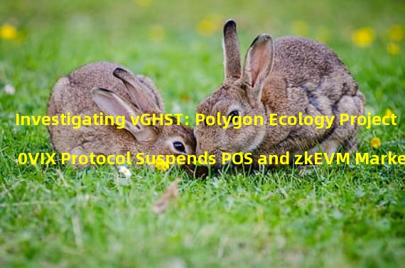 Investigating vGHST: Polygon Ecology Project 0VIX Protocol Suspends POS and zkEVM Markets