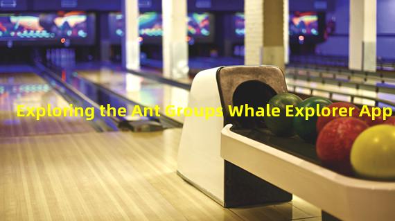 Exploring the Ant Groups Whale Explorer App