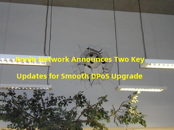 Ronin Network Announces Two Key Updates for Smooth DPoS Upgrade