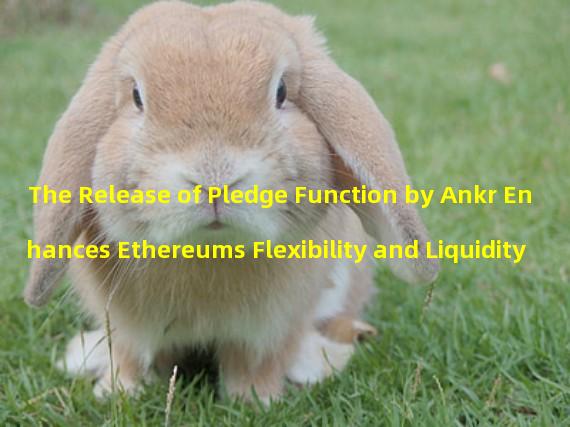 The Release of Pledge Function by Ankr Enhances Ethereums Flexibility and Liquidity