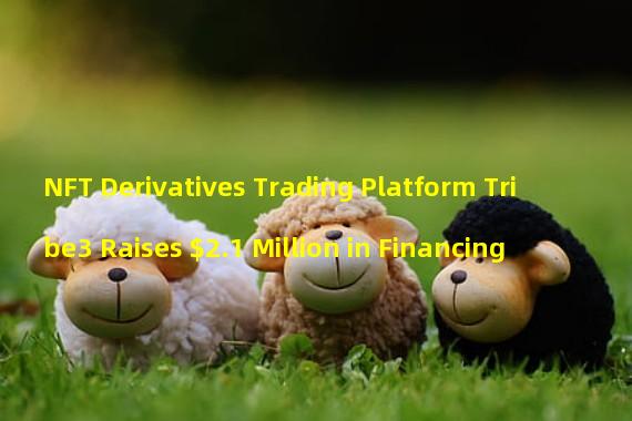 NFT Derivatives Trading Platform Tribe3 Raises $2.1 Million in Financing
