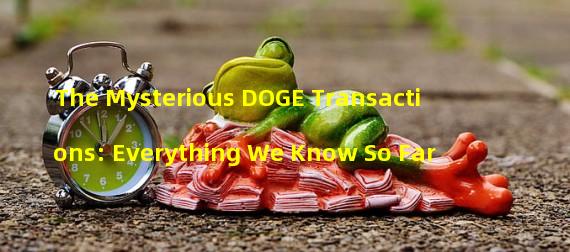 The Mysterious DOGE Transactions: Everything We Know So Far