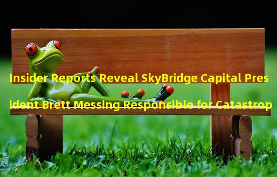 Insider Reports Reveal SkyBridge Capital President Brett Messing Responsible for Catastrophic Investment in Cryptocurrencies