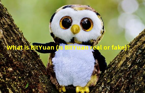 What is BitYuan (Is BitYuan real or fake)?