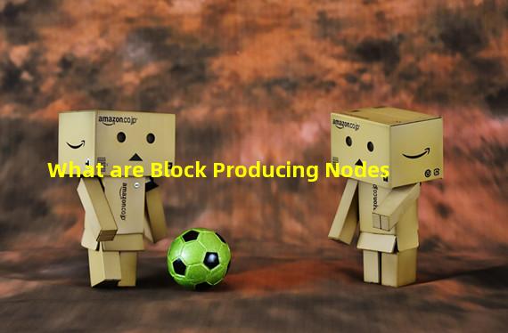 What are Block Producing Nodes