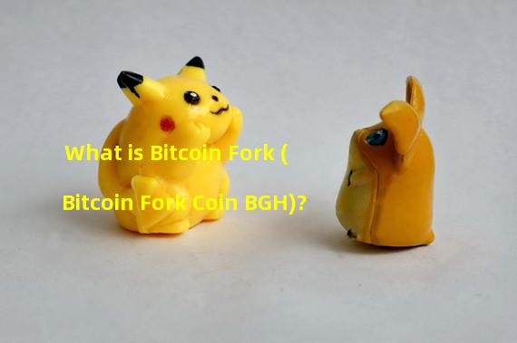 What is Bitcoin Fork (Bitcoin Fork Coin BGH)?