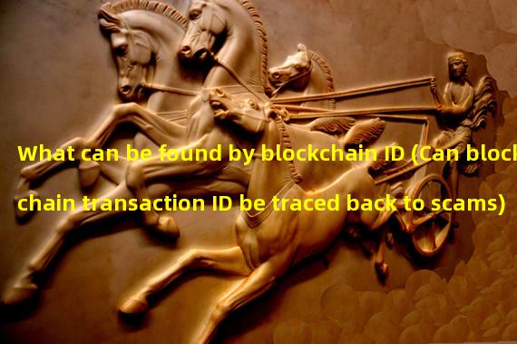 What can be found by blockchain ID (Can blockchain transaction ID be traced back to scams)?