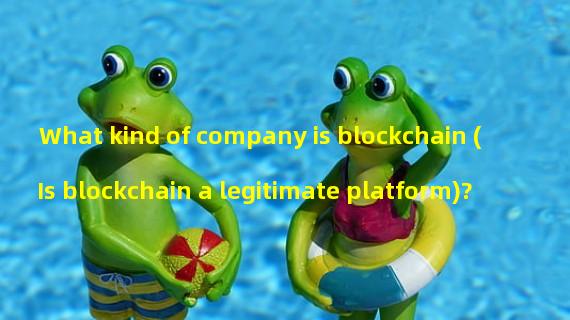 What kind of company is blockchain (Is blockchain a legitimate platform)?