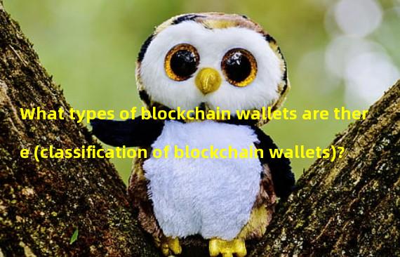 What types of blockchain wallets are there (classification of blockchain wallets)? 