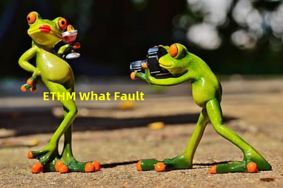 ETHM What Fault
