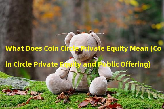 What Does Coin Circle Private Equity Mean (Coin Circle Private Equity and Public Offering)?