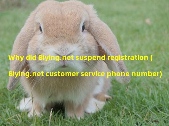Why did Biying.net suspend registration (Biying.net customer service phone number)
