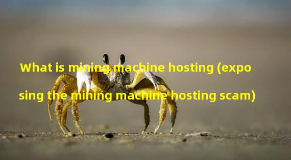 What is mining machine hosting (exposing the mining machine hosting scam)