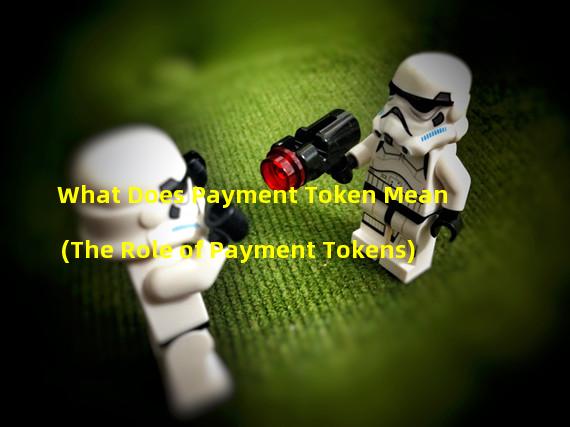 What Does Payment Token Mean (The Role of Payment Tokens)