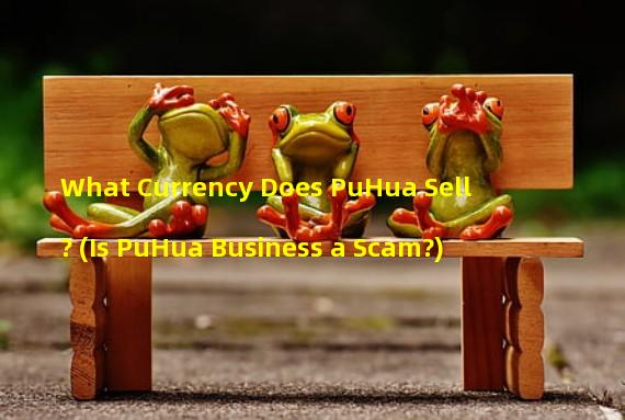 What Currency Does PuHua Sell? (Is PuHua Business a Scam?)