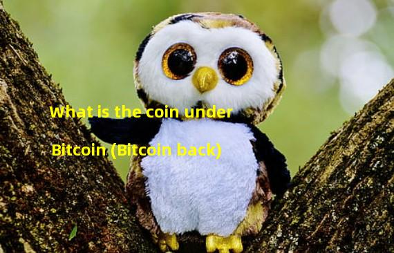 What is the coin under Bitcoin (Bitcoin back)