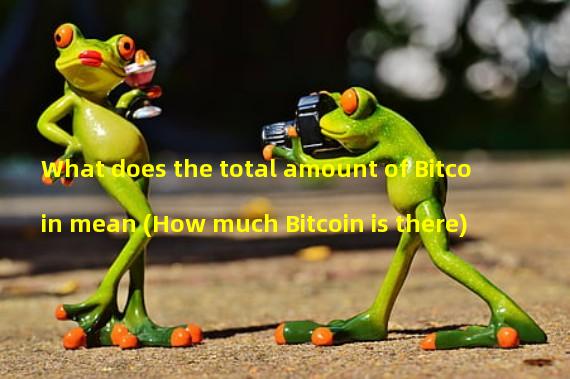 What does the total amount of Bitcoin mean (How much Bitcoin is there)