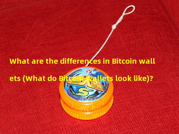 What are the differences in Bitcoin wallets (What do Bitcoin wallets look like)?