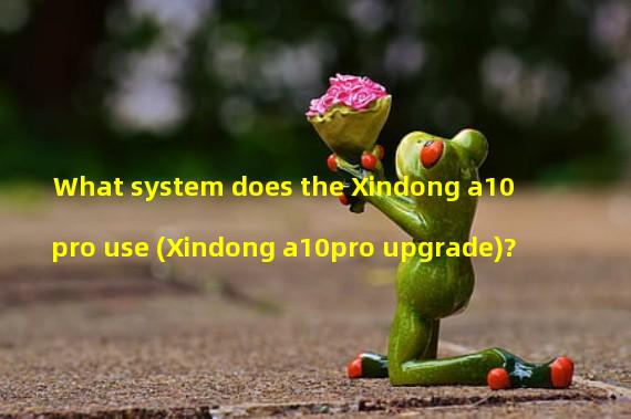 What system does the Xindong a10pro use (Xindong a10pro upgrade)?